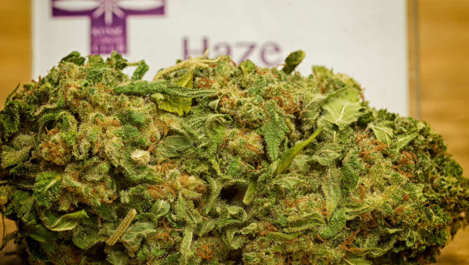 Cannabis Social Club Lanzarote Klinic Cannabis Club Lanzarote